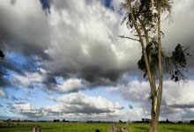 Altcoin Season is 'Here': What 'Drivers' Are They Pushing? (r/Crypto Explodes)