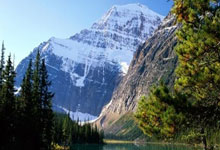 Altcoin Season Commences: The Core Catalysts and Leading Assets - The Debate Is On