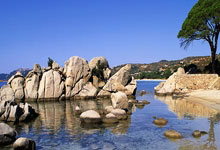 A Pivotal Moment For Bitcoin Price: What It Means For The Future - Twitter Erupts