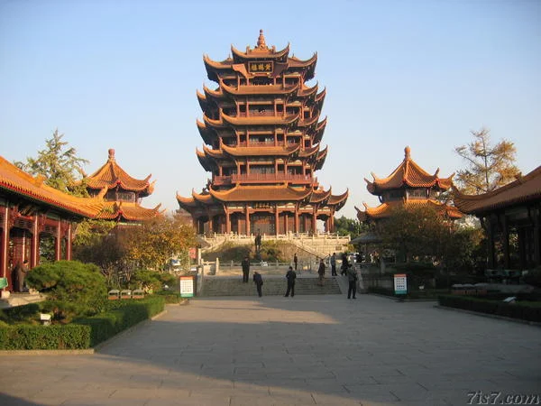 Wuhan's Tennis Comeback: What We Know About the Open and Fan Reactions